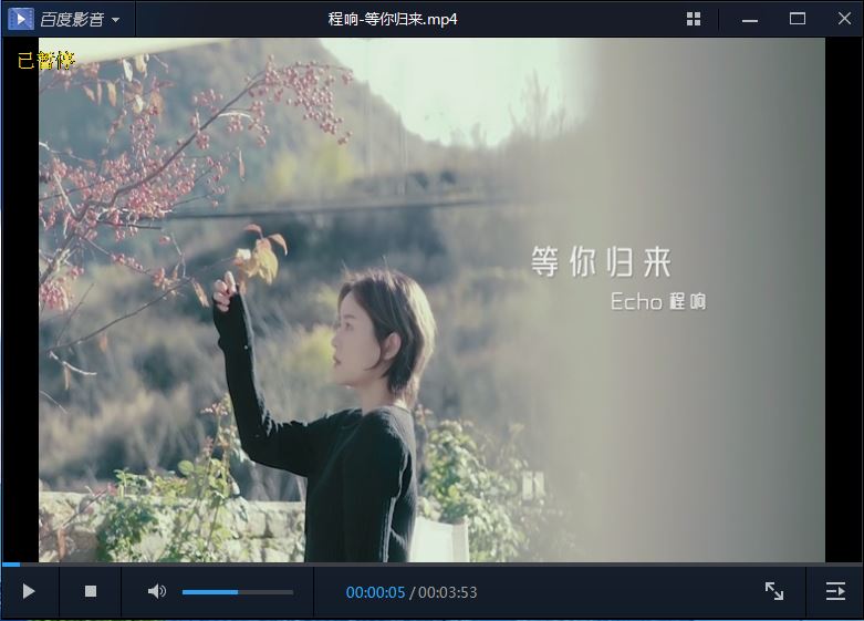 百儒林