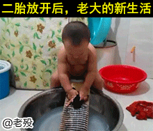 ScreenGif汉化版
