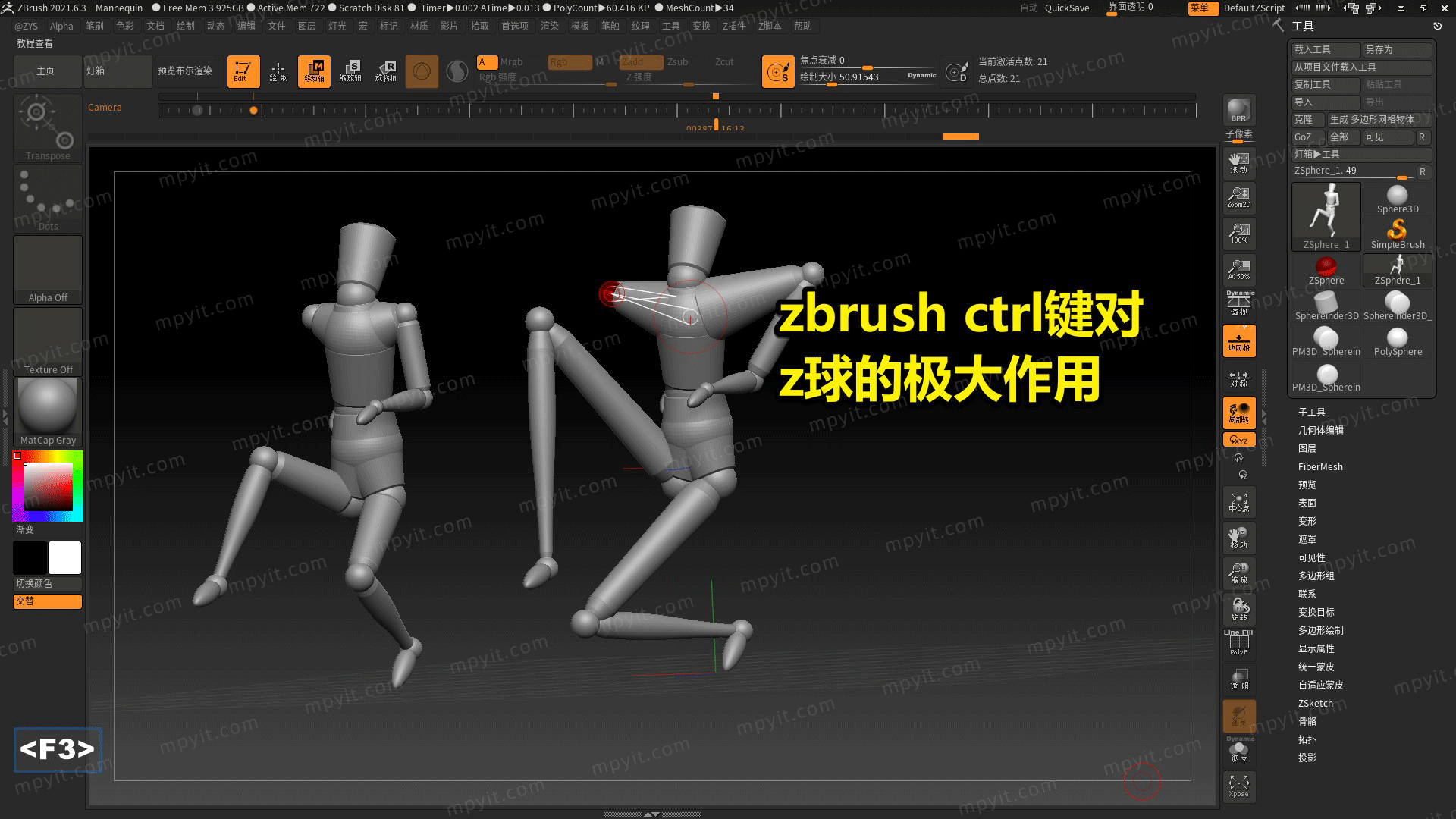 百儒林