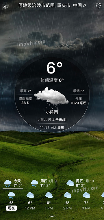 百儒林