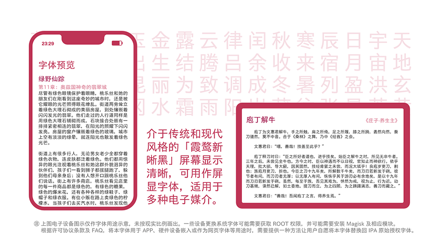 百儒林