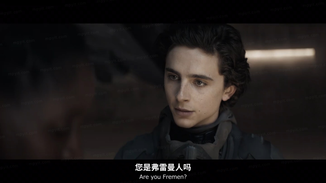 百儒林