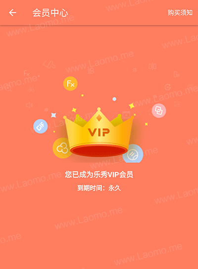 百儒林