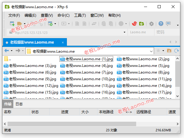 百儒林