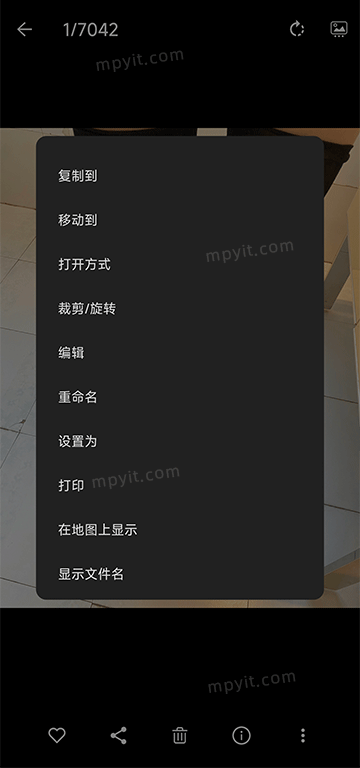 百儒林