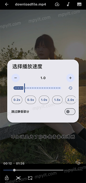 百儒林