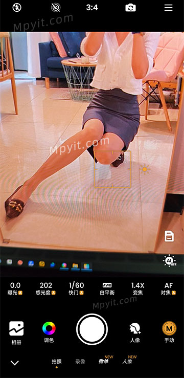 百儒林