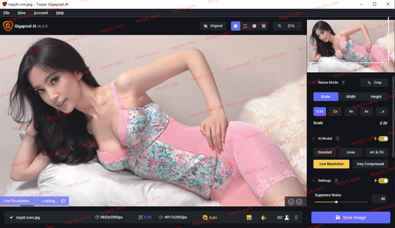 百儒林
