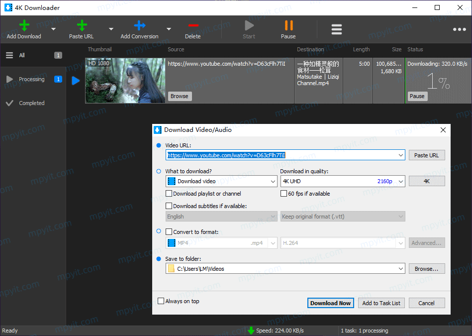 百儒林