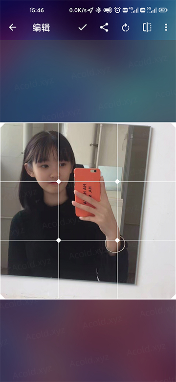 百儒林