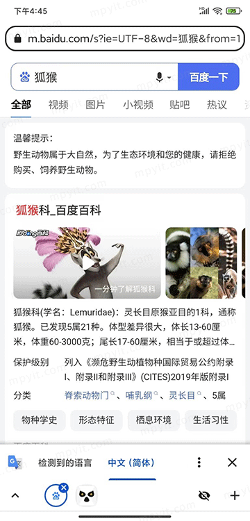 百儒林