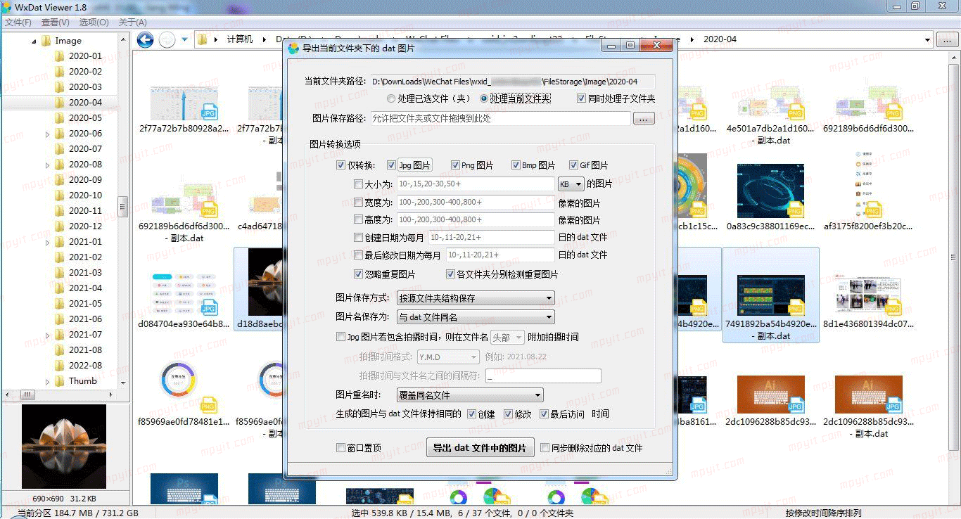 百儒林
