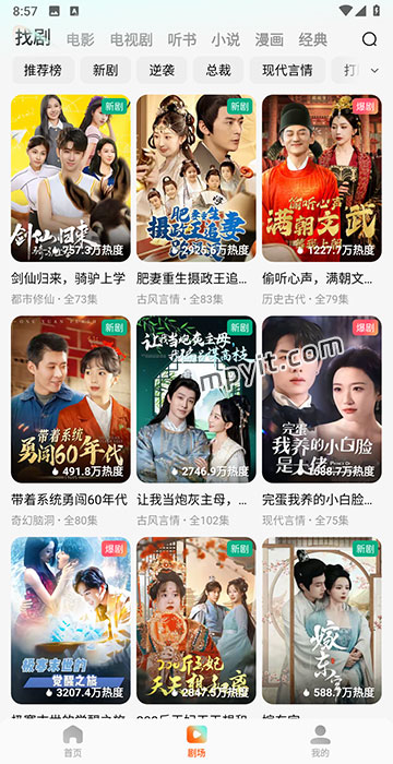 百儒林