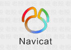 Navicat Premium Lite 17.3.7.0 免费版 数据库管理